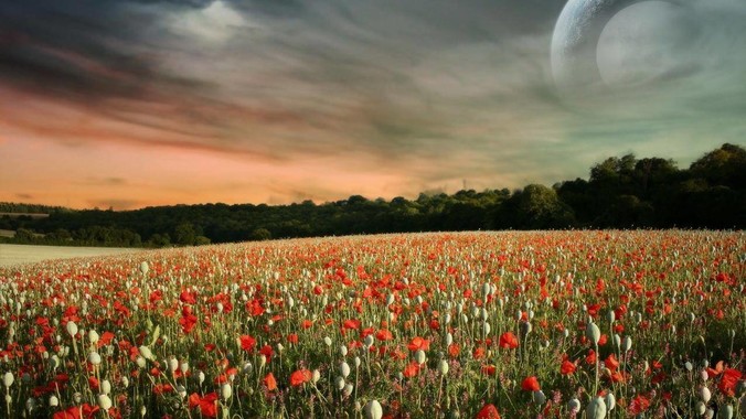 可以分享你经常打开的一个网站吗？